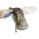 Mojo outdoors Esquer Mini Mallard Hen