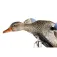 Mojo outdoors Esquer Mini Mallard Hen