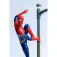 Paladone Marvel Spider Man Post 램프