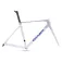 Colnago V5RS Road Frame