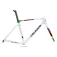 Colnago V5RS Road Frame