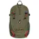 Aulp Verdi 20L backpack