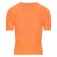 Q36.5 Short sleeve base layer