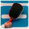Joola Agassi Pro IV 14 pickleball-maila
