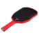 Joola Agassi Pro IV 16 pickleball-maila