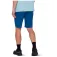 Mammut Runbold IV shorts