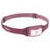 Biolite Lampe Range 300