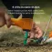 Biolite Site ランプ