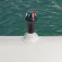 Railblaza Adhesive mounting support