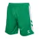 Hummel Match shorts