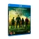 Dvd Knock At The Cabin DVD