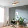 Cecotec EnergySilence Aero 5295 Deckenventilator