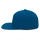 Duotone Snapback frame driver pet