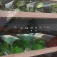 Cecotec Vinoteca GrandSommelier Duo 57000 Touch Compressor