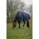 Equitheme Anatomic 1200D Ai 0g uitloopkleed