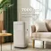 Evvo CLIMA P7 portable air conditioner