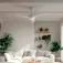 Evvo V522 Deckenventilator