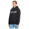 Spyder Sudadera con capucha Wordmark