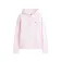 Tommy jeans DW0DW19958 hoodie