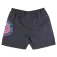 Santa cruz Outer ringed dot uimashortsit