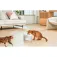 Catlink Pure 3 물 분배기