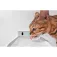 Catlink Pure 3 물 분배기