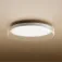 Xiaomi D20 Ceiling Light