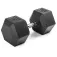 Gymstick Mancuerna hexagonal Pro 50kg