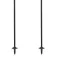 Gabel Bastons R Carbon PRO