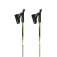 Gabel R Carbon PRO Stöcke