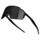 Force Strive sunglasses