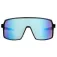 Force Zoom sunglasses