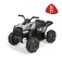 Feber Quad Boxer LT 12V