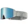Bolle Blackridge ski goggles
