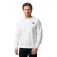 The north face Redbox Raglan Regular Bluza