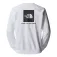 The north face Redbox Raglan Regular Bluza