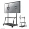 Newstar Support TV NS-M4000