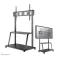 Newstar Support TV NS-M4000