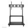 Newstar Support TV NS-M4000
