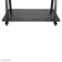 Newstar Support TV NS-M4000