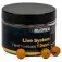 Ccmoore Live System Hard hookbaits