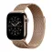 Apple 40 mm MilaneseLoop strap