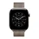 Apple 42 mm MilaneseLoop strap