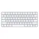 Apple Tastiera wireless Magic Keyboard USB C Russian