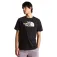 The North Face Evolution Half Dome 반팔 티셔츠