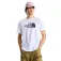 The north face Evolution Half Dome 반팔 티셔츠