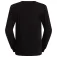 The north face Evolution Simple Dome Regular Regular 긴팔 티셔츠