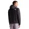 The north face Fontanales jacka