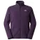 The north face Glacier 플리스