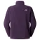 The north face Glacier 플리스